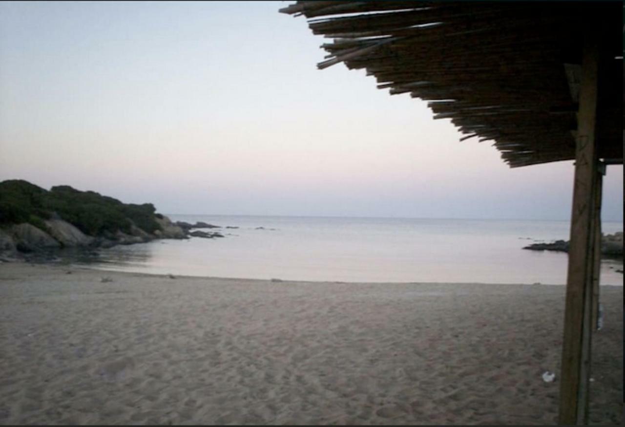 Villa Graziosa Dependance Stintino Exterior foto